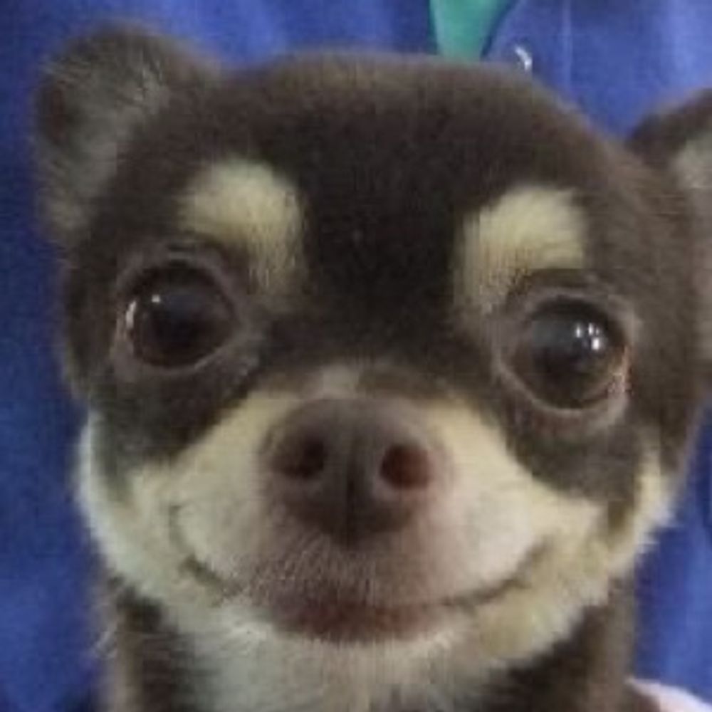 괄두