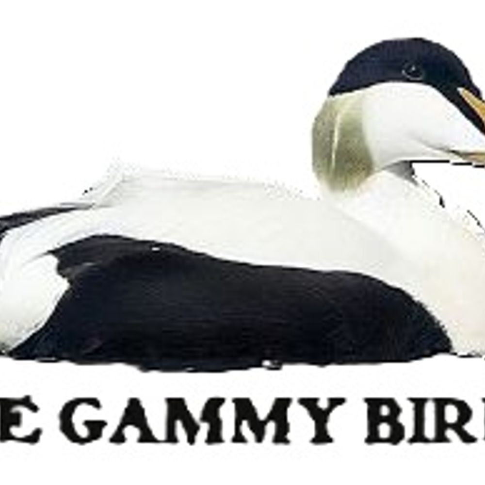 The Gammy Bird