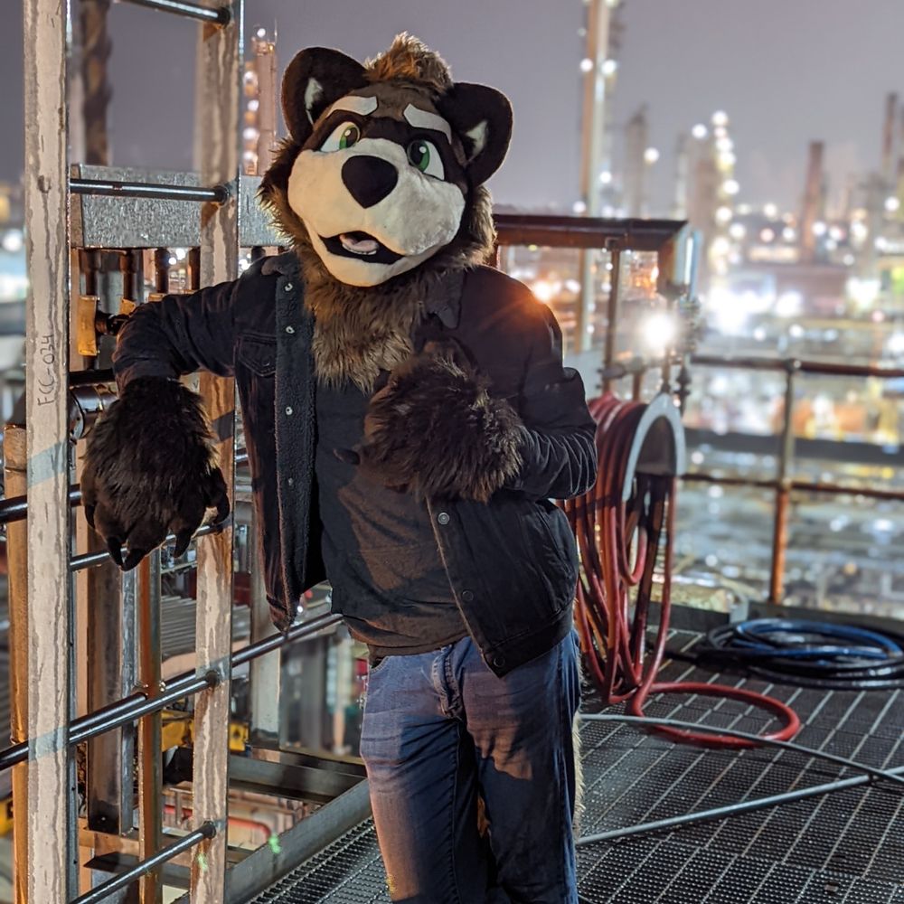 Java 🦝