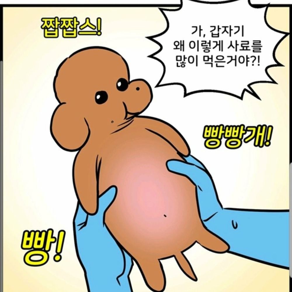 돼지