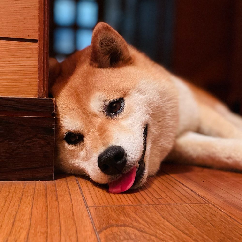 やまだ