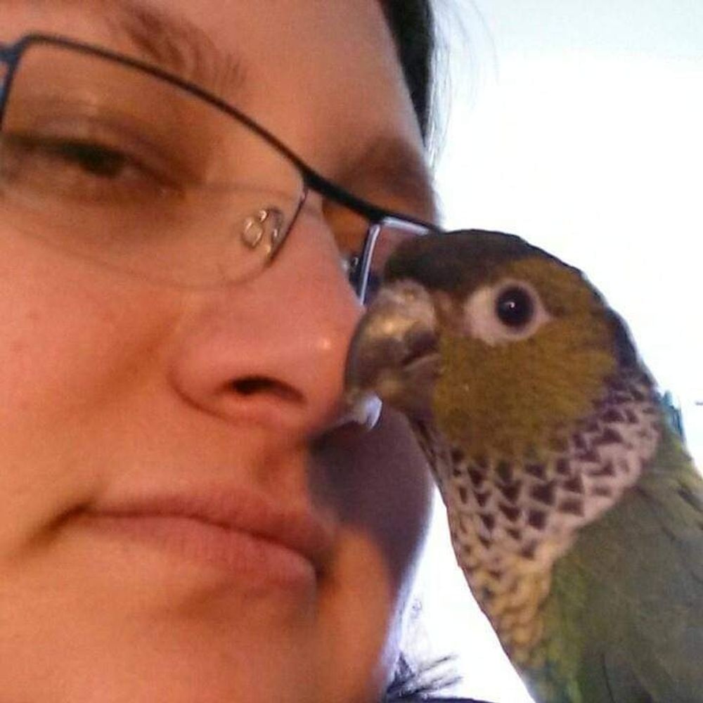 Karine Papillons