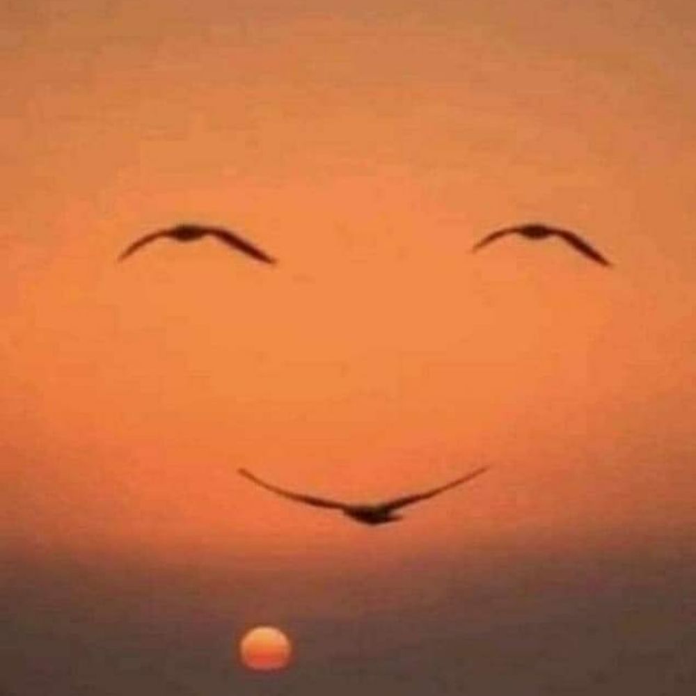 얄리