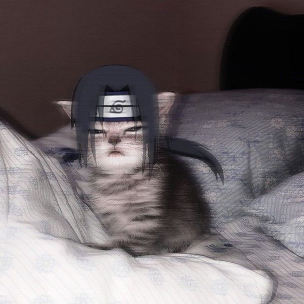 Moon⁷