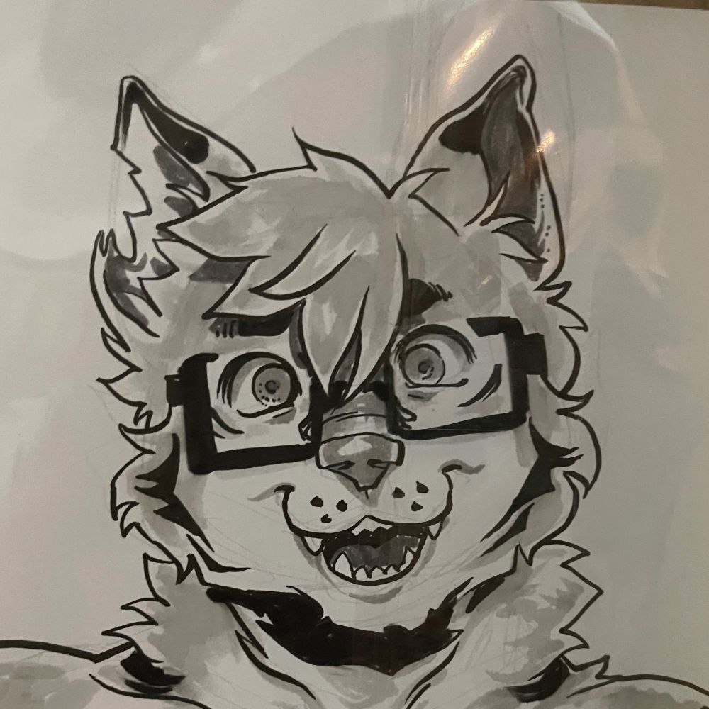 Timber Tigsky