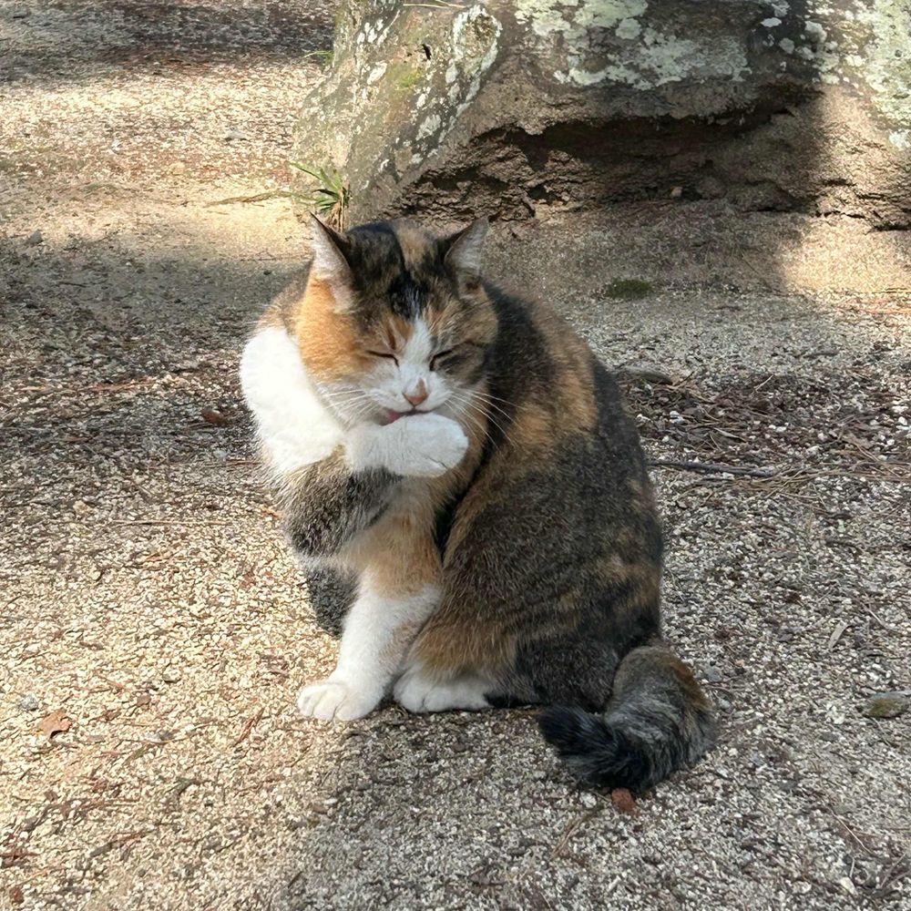 ゆかまる氏