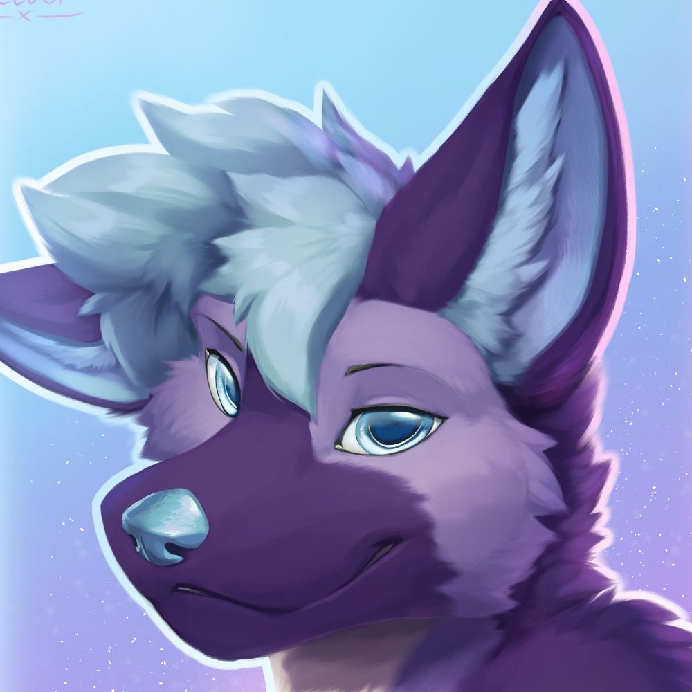 Husky Boy 🏳️‍🌈