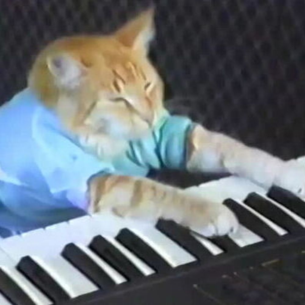 Keyboard Cat