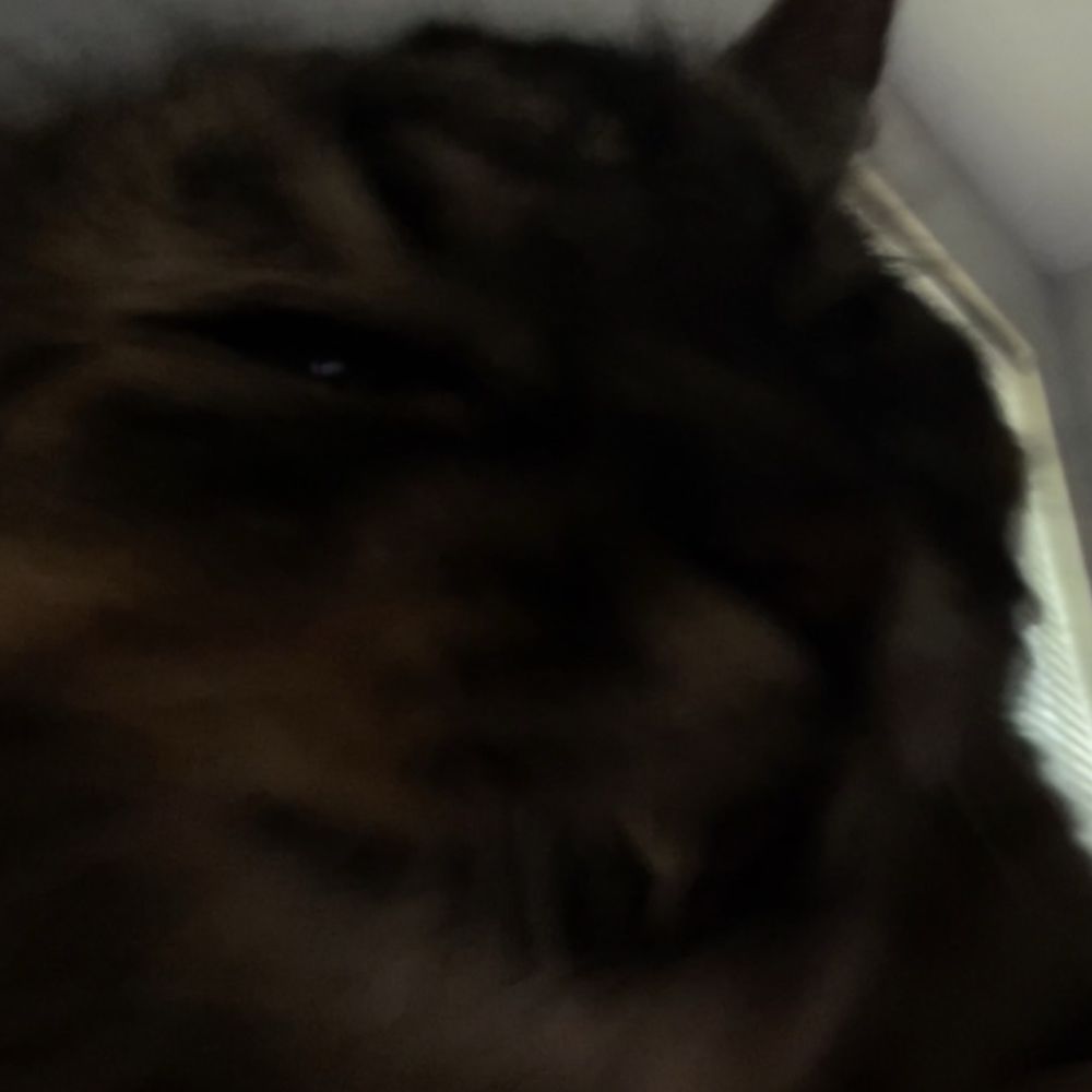 Kori