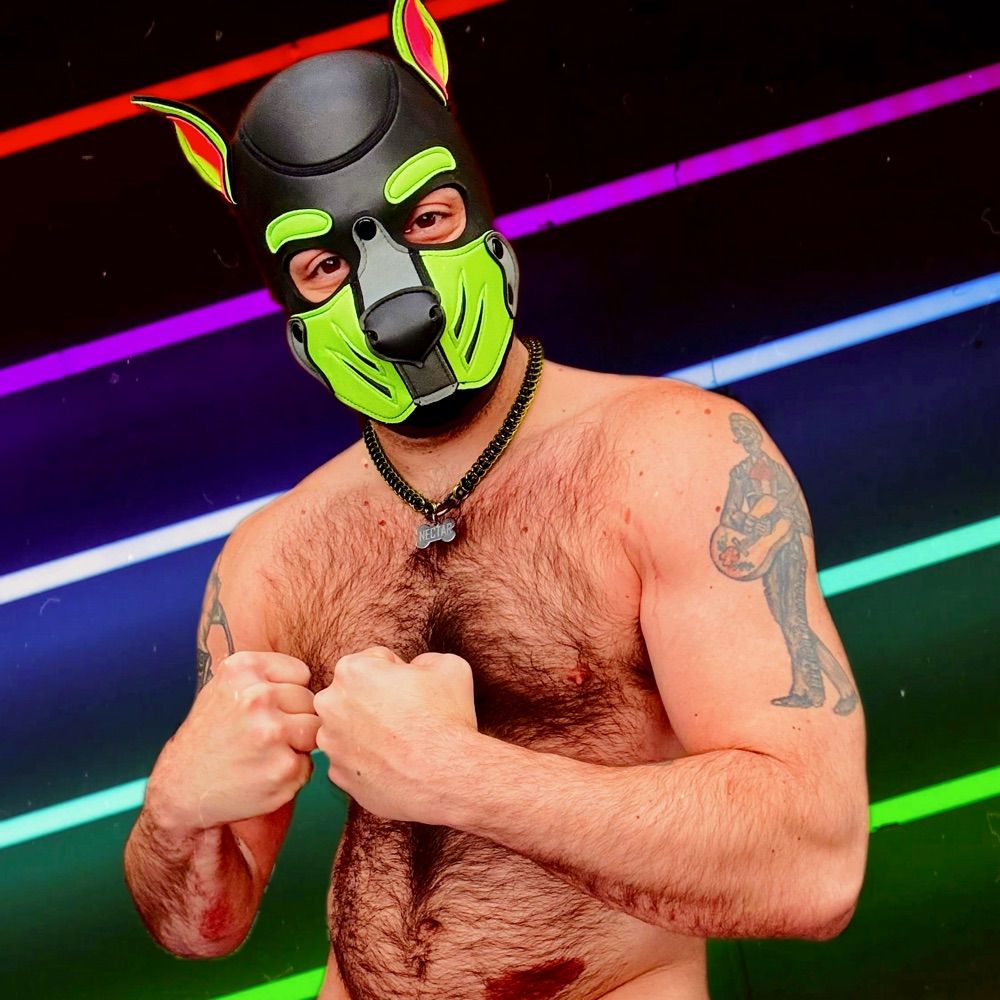 Profile picture pupnectar.bsky.social