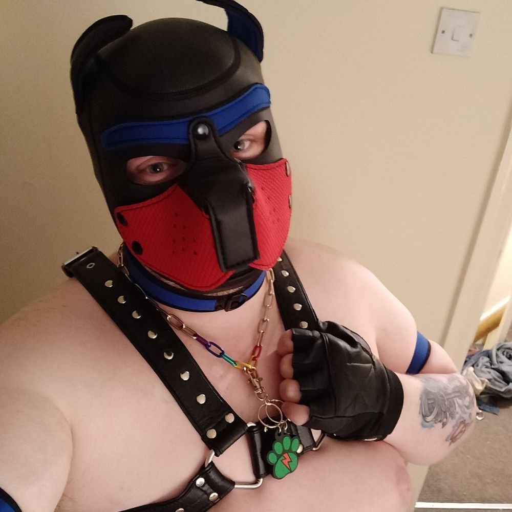 Pup Poseidon