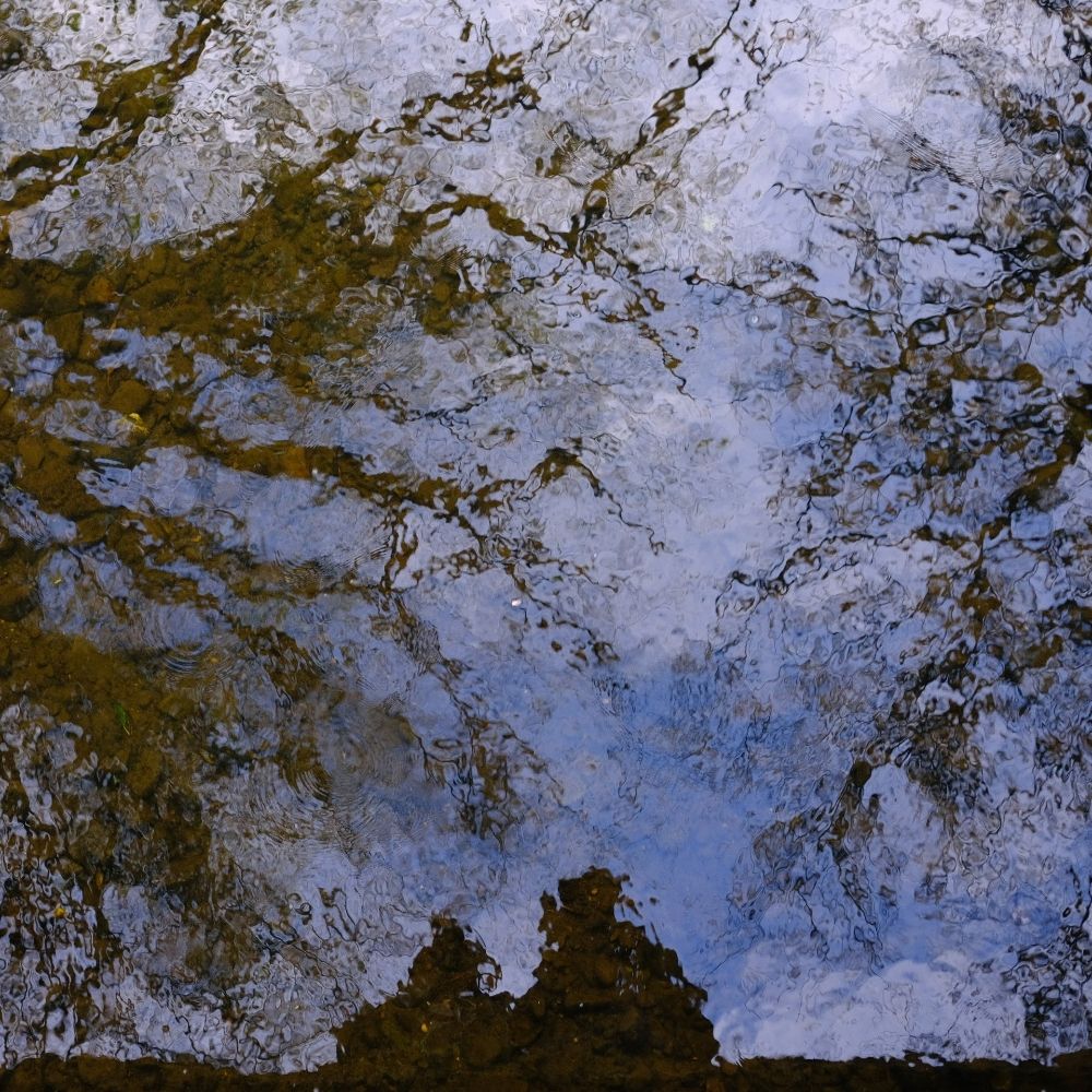 Rahul Pires