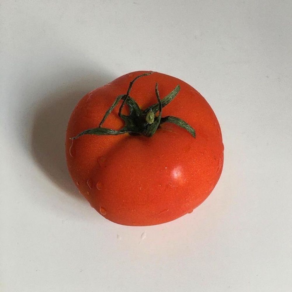 por.bor.jor🍅