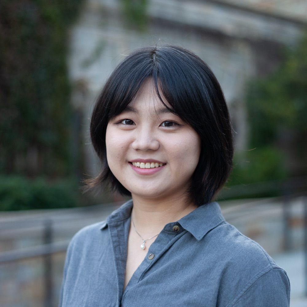 Siyao Lu
