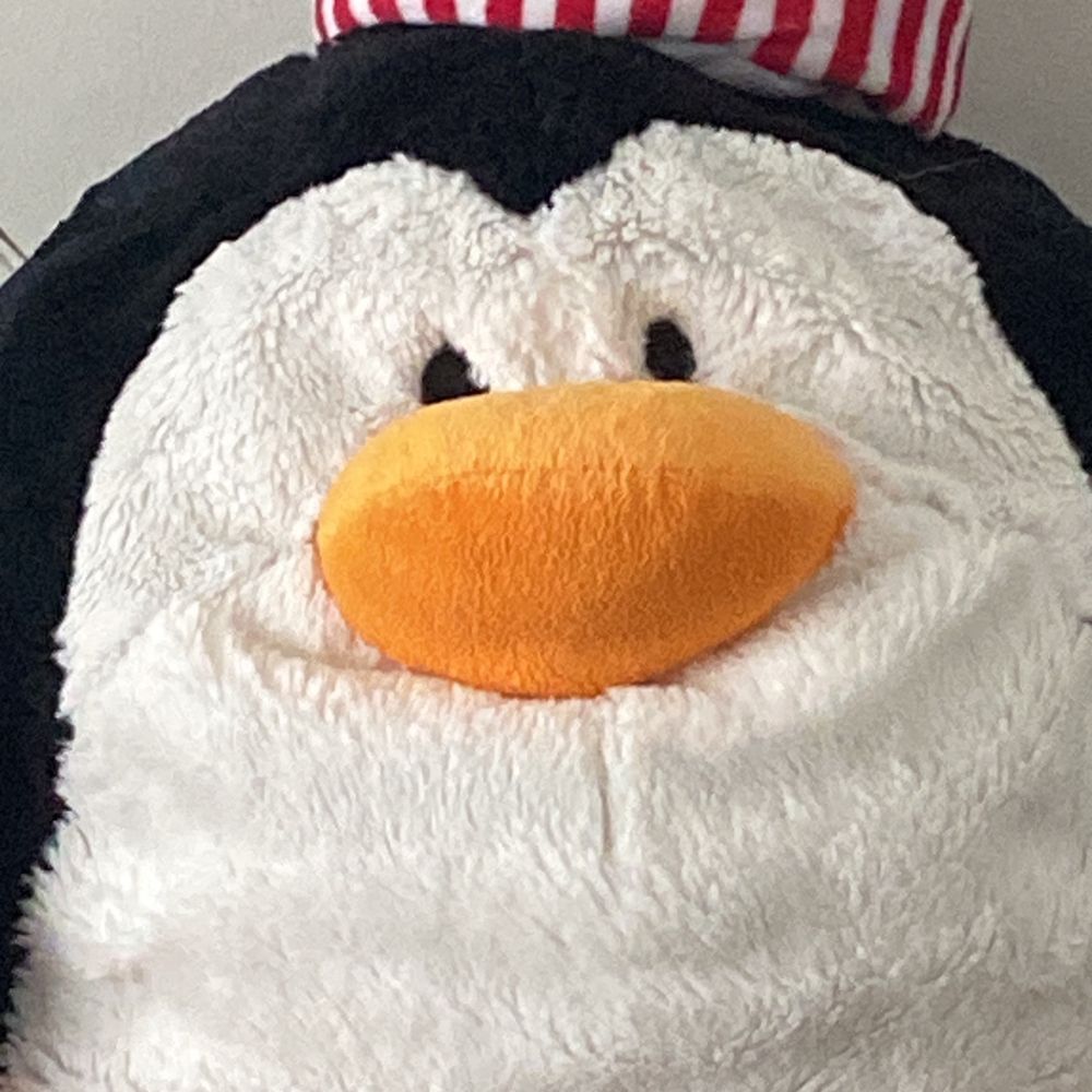 Reb