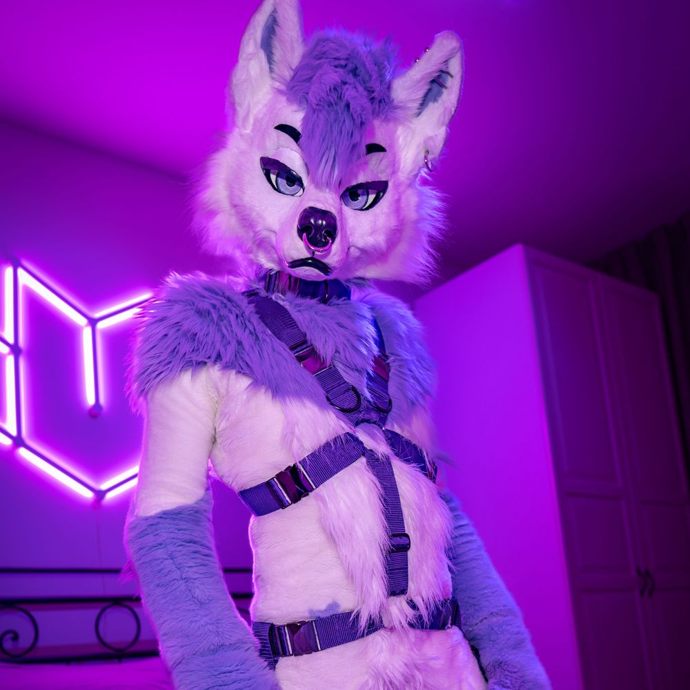 PurplePawsky