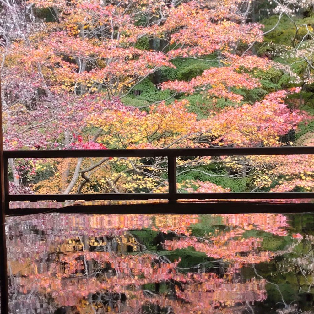 ハニー