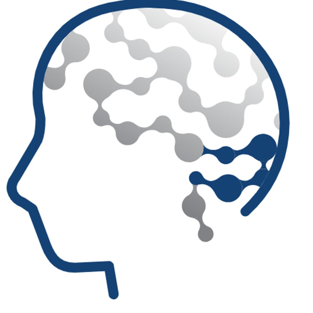 Raynor Cerebellum Project