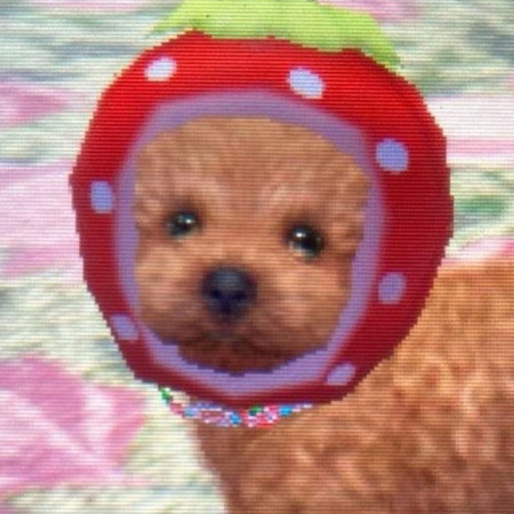Sepia 🍓