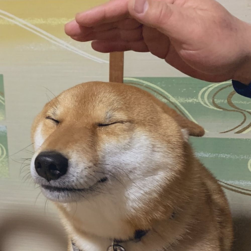 ゆき。