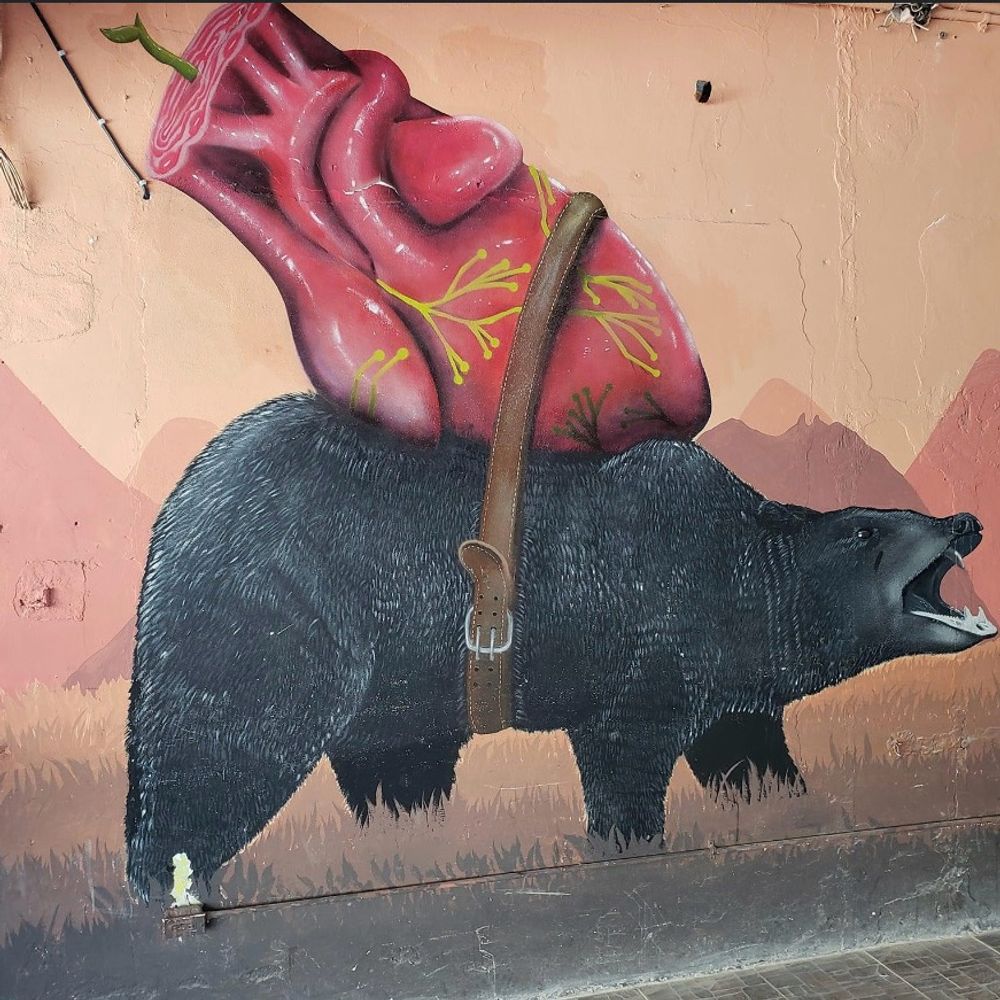 Spectre Bear 