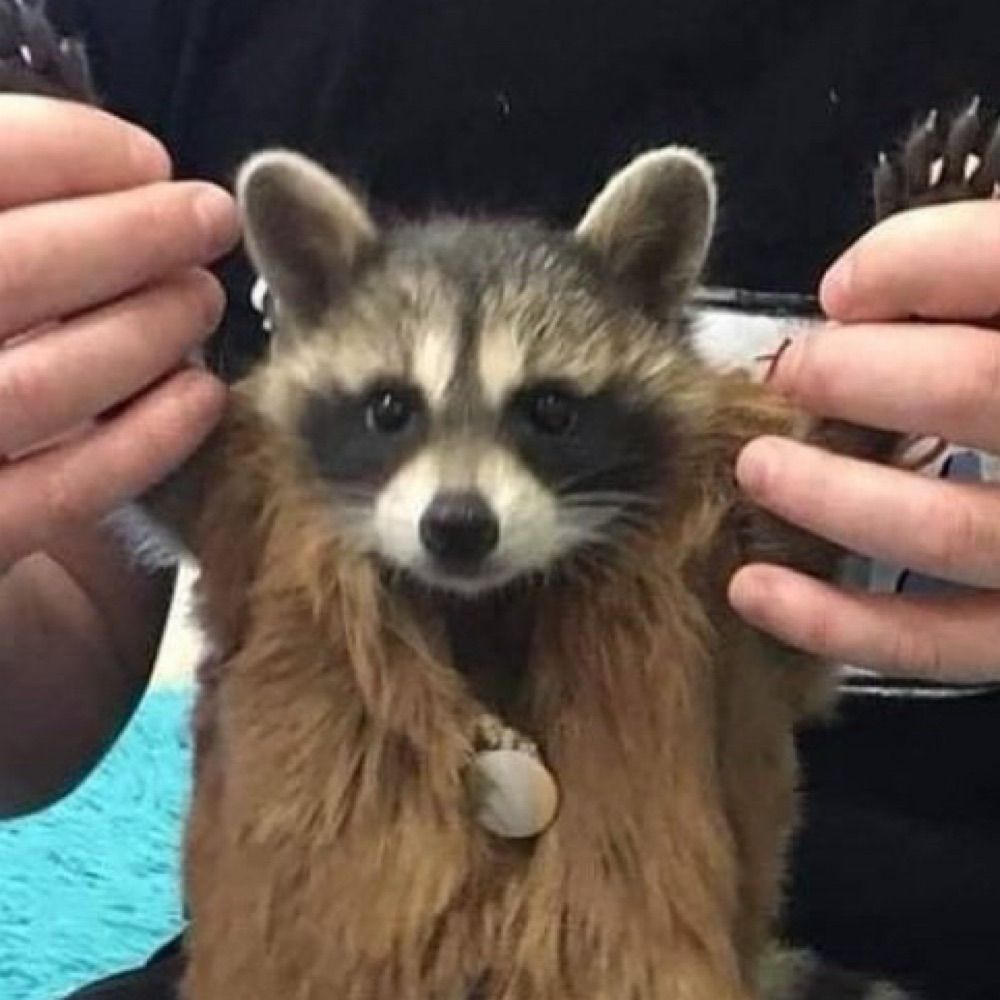 서유