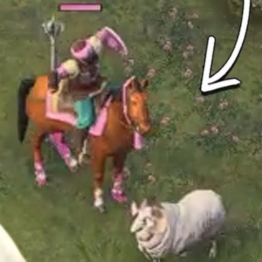 Diego_aoe4