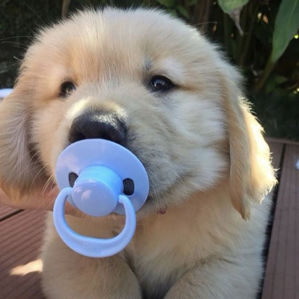tุ๋น
