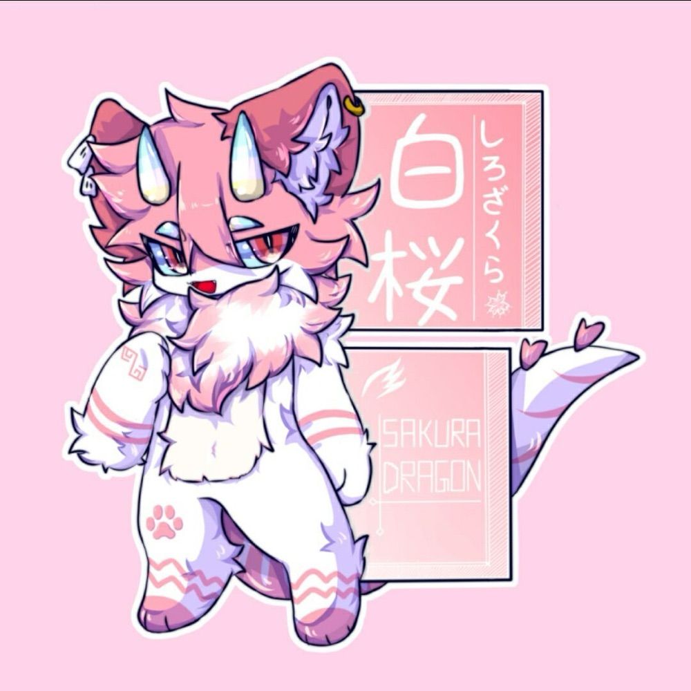 🌈白桜ShiroSakura🌸🐾