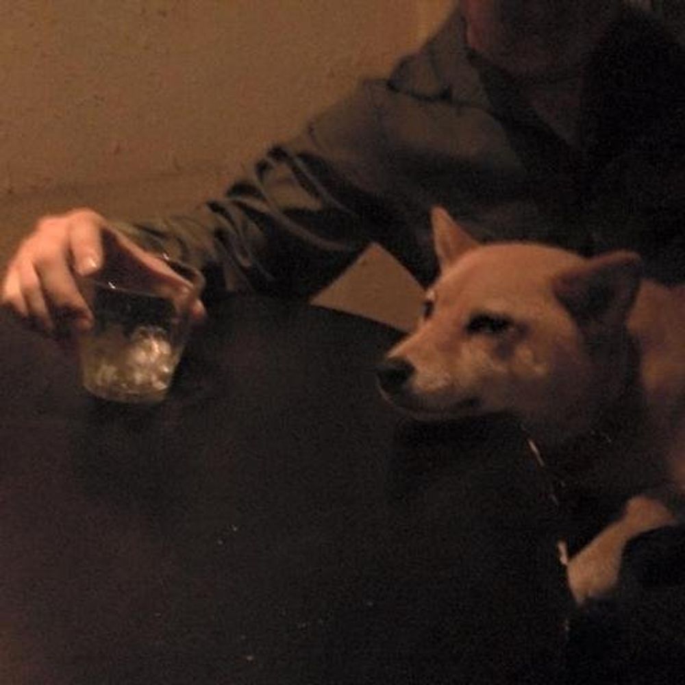 酔いどれケンタロー