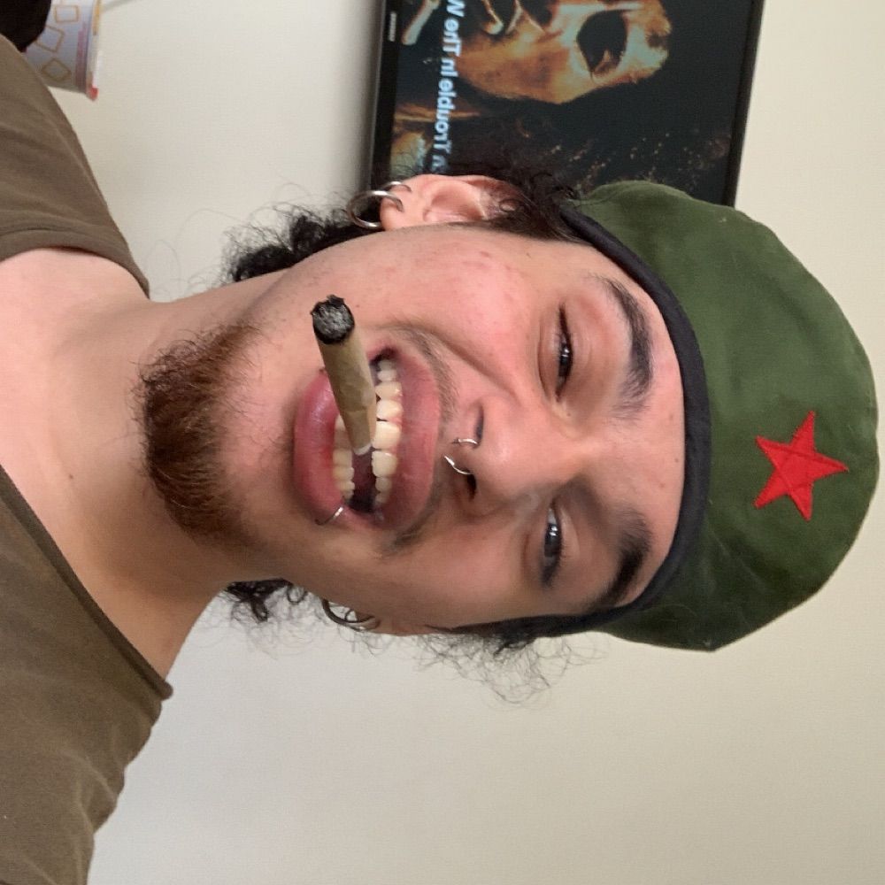 alienígena maconheiro