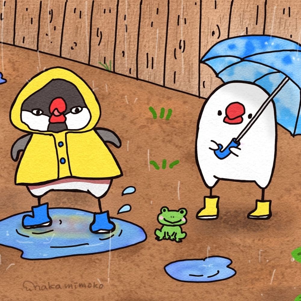 なかみもこ