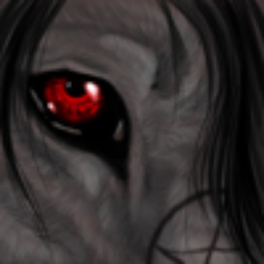 pj wolf's avatar