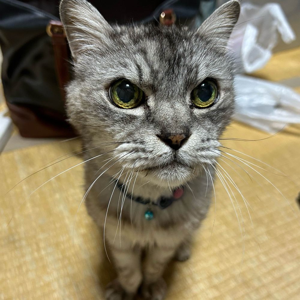 ミヤギタカオ