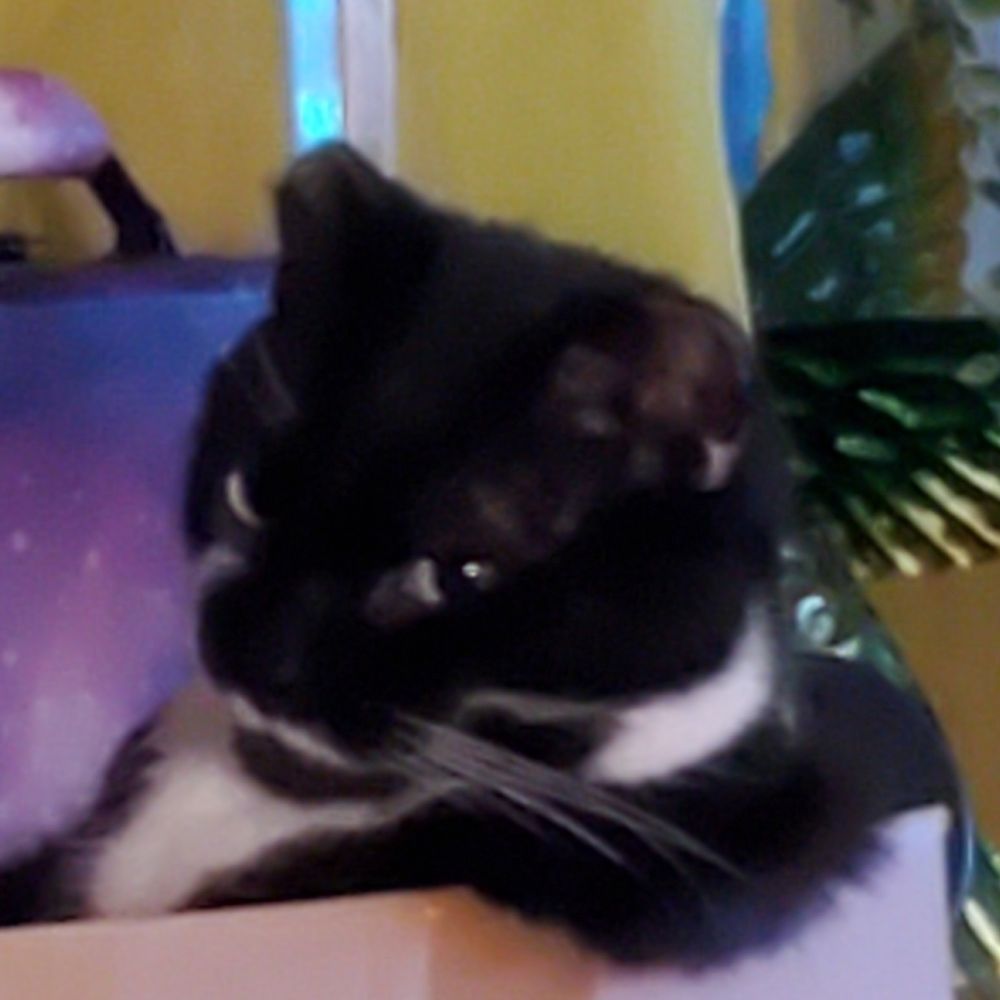KhaleesiZelda 
