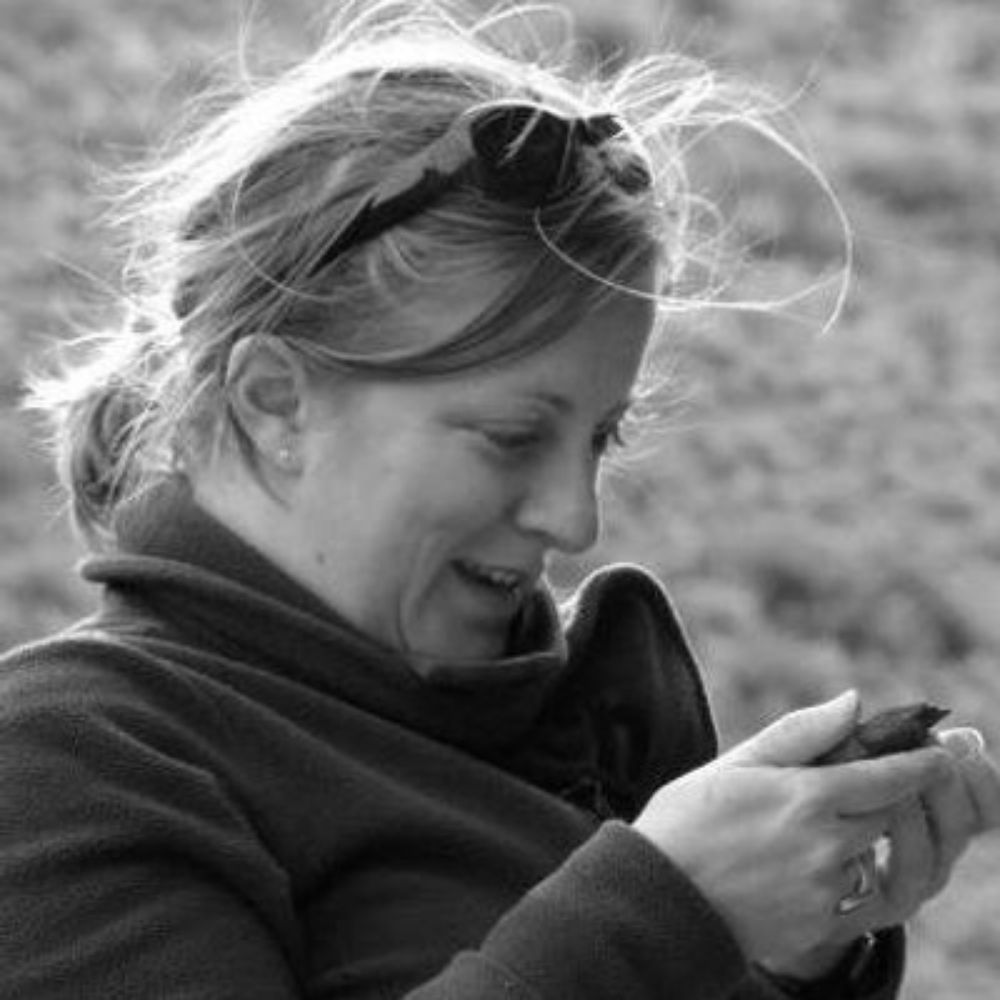 Dr Jo Hellawell