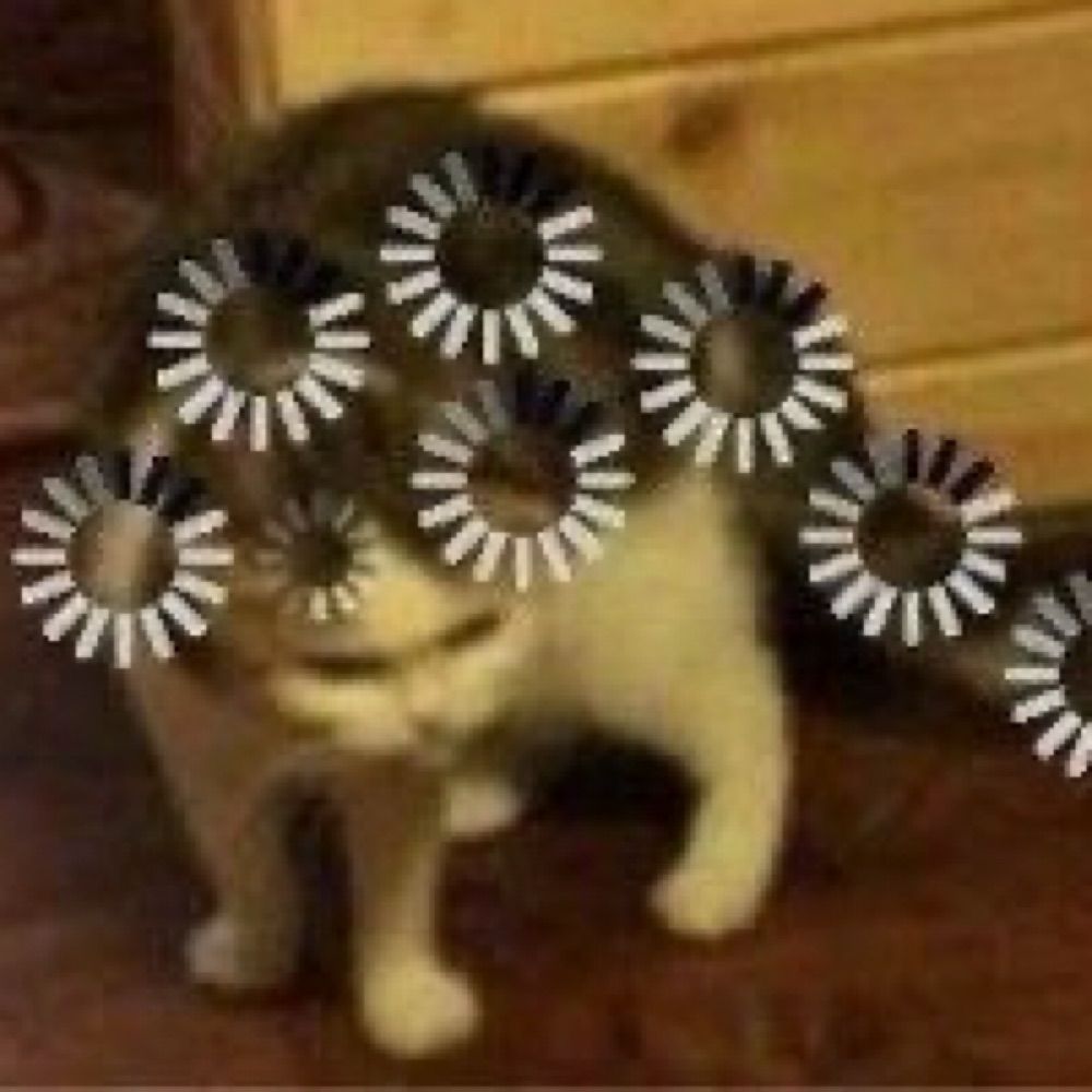 ane
