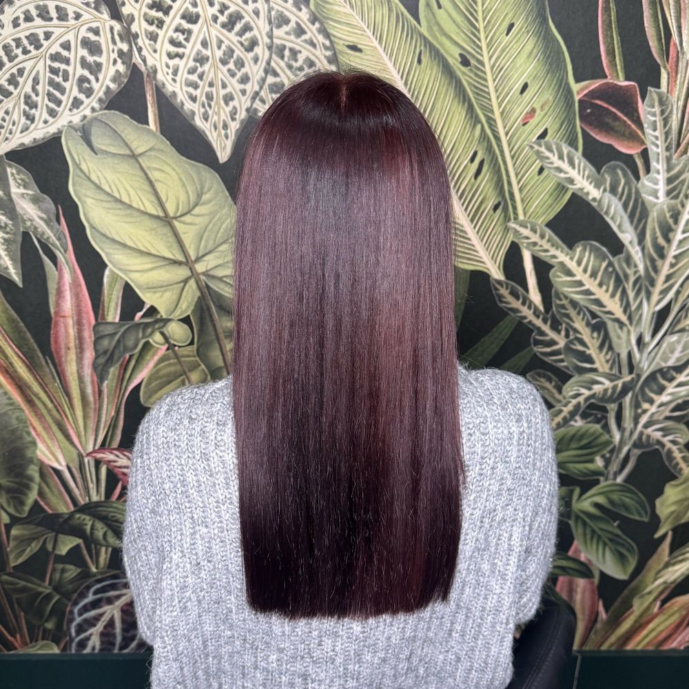 Redhed Folkestone Hair Specialist’s