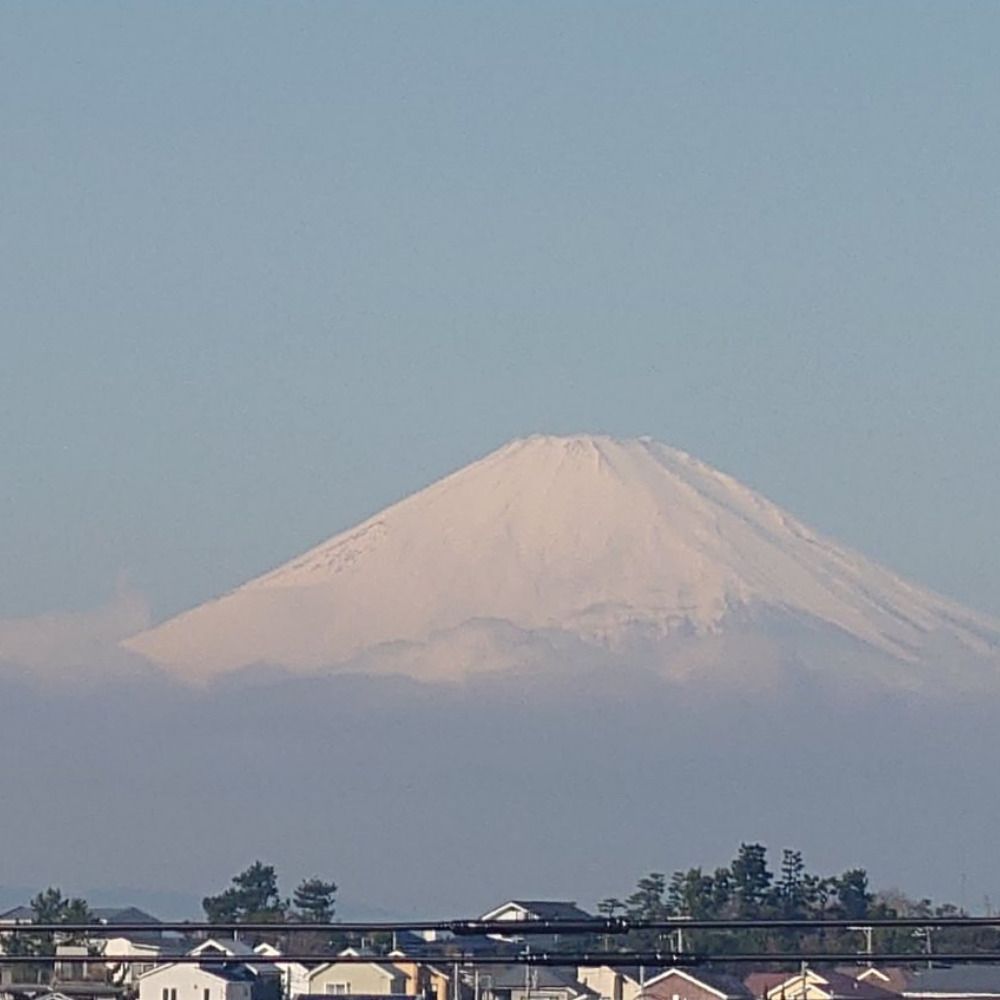 もにゃ／とも★