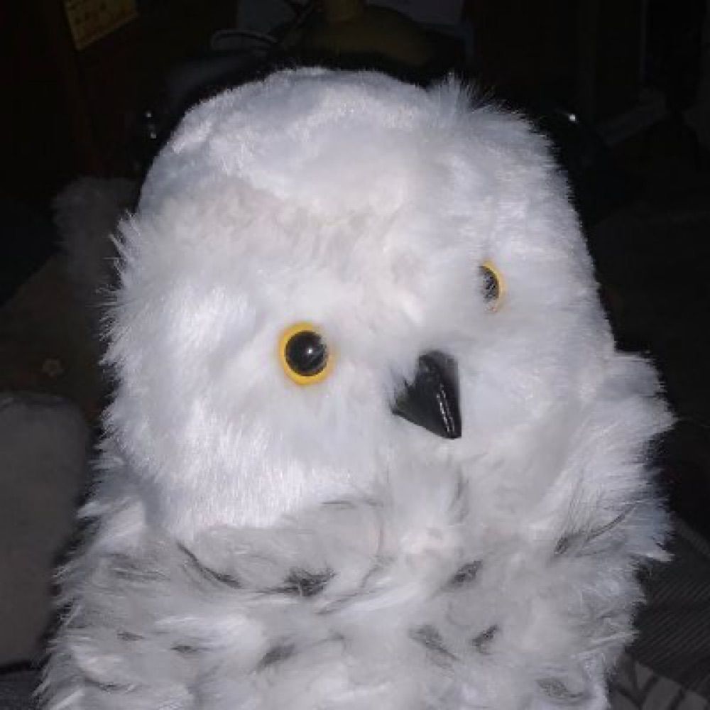 Gustave Monce🦉