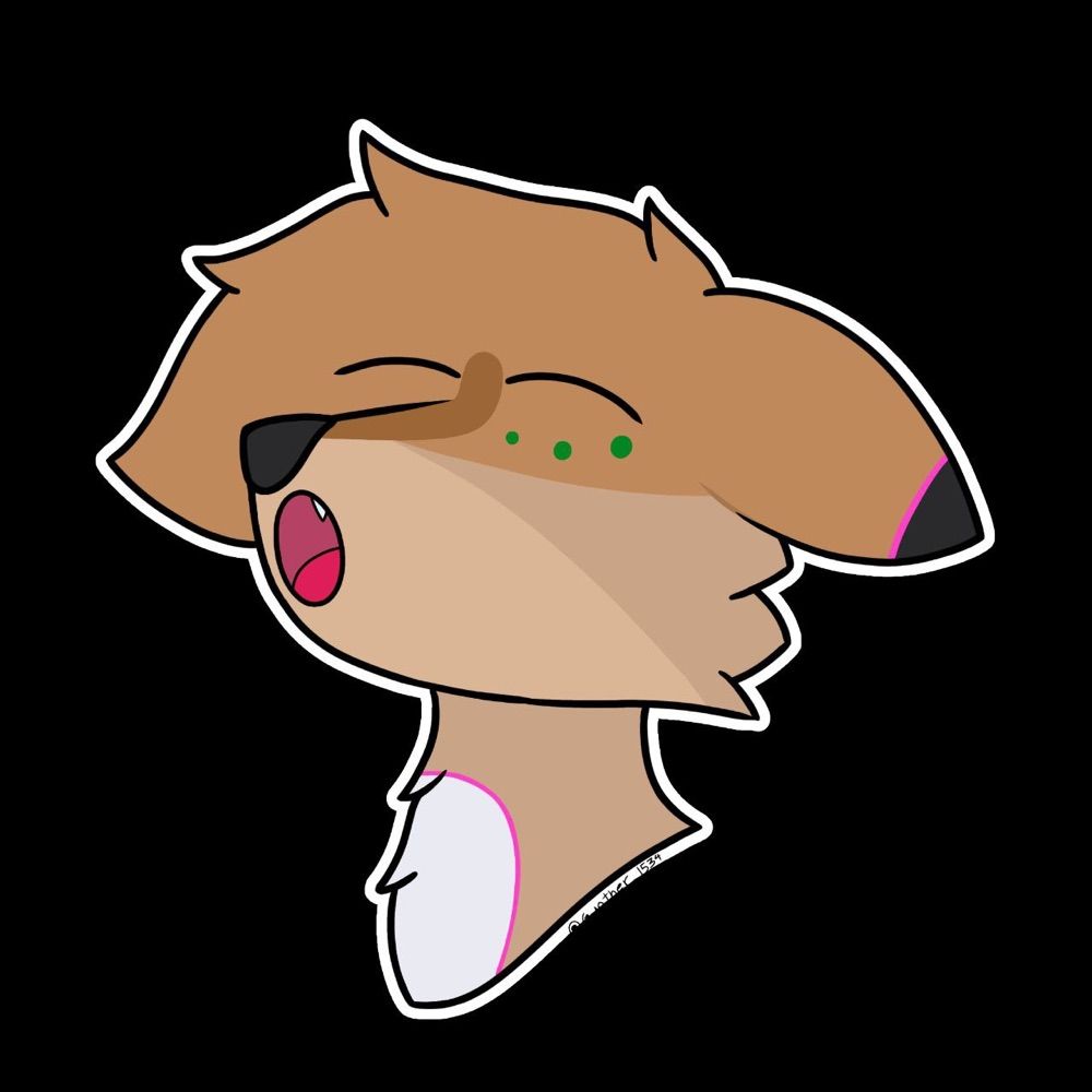 Coyote Puppy🐾