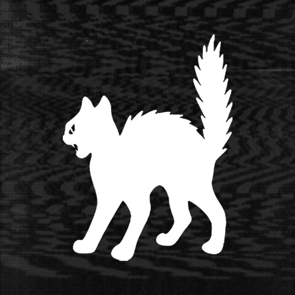 KITTY