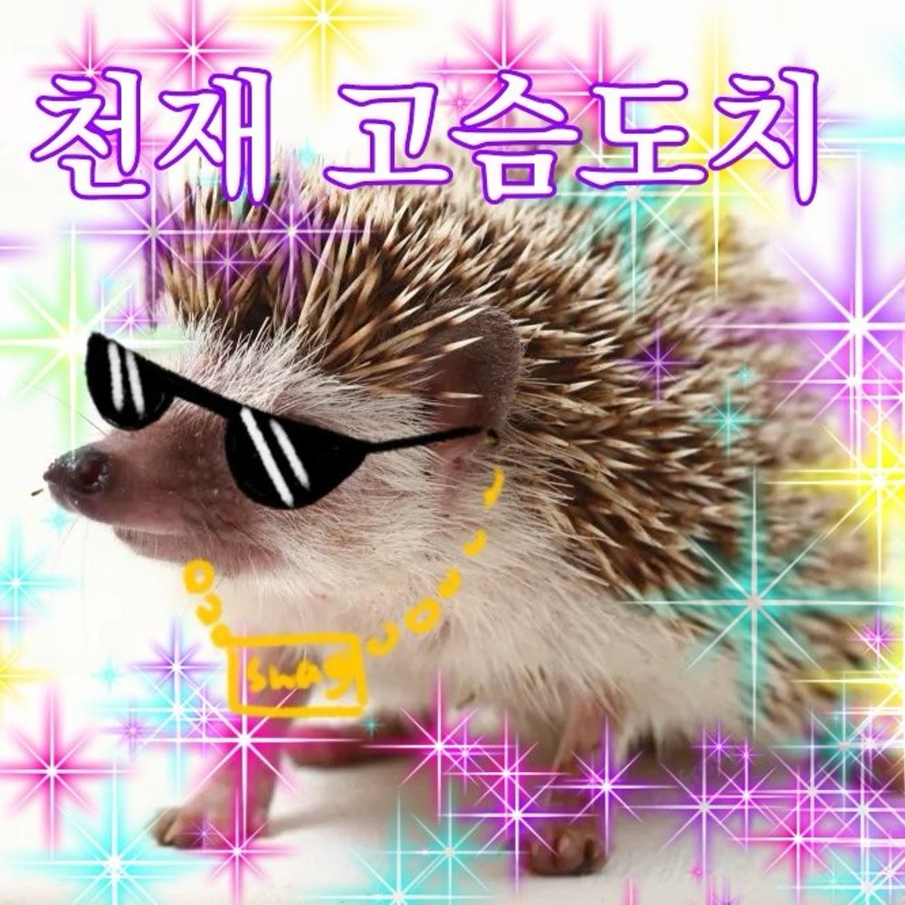 슴치