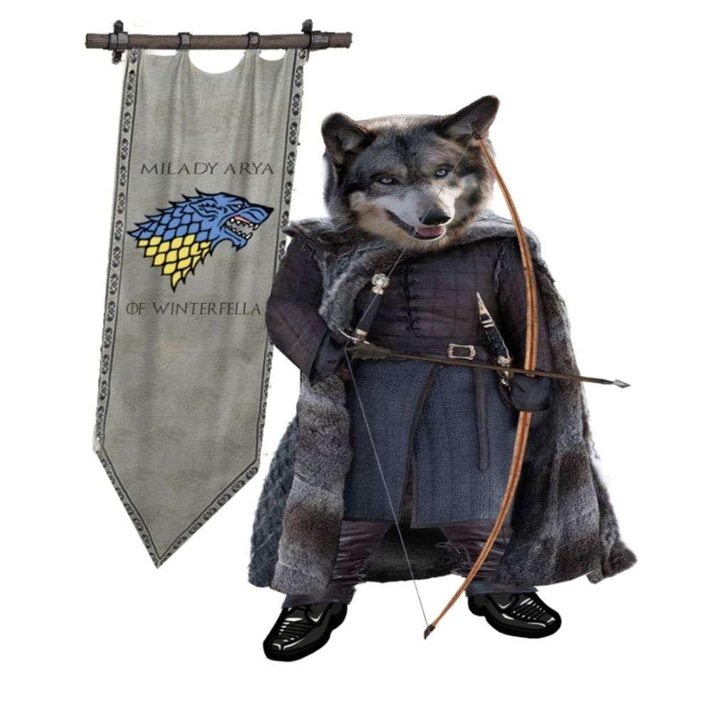 Arya of WinterFella 🐺🐾