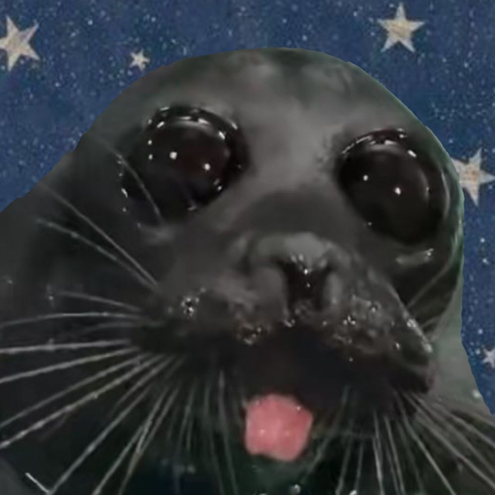 Space_Seal