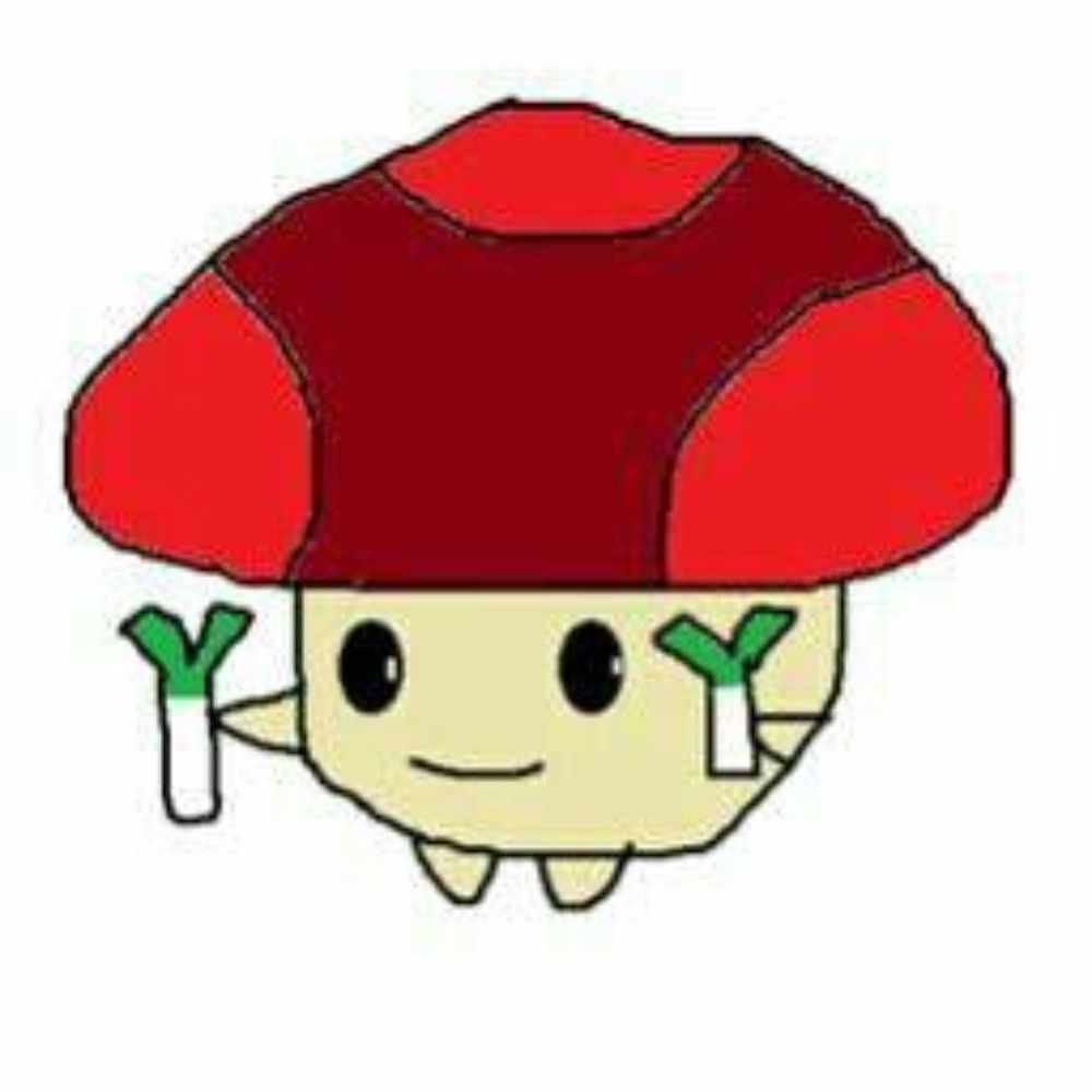 のこ
