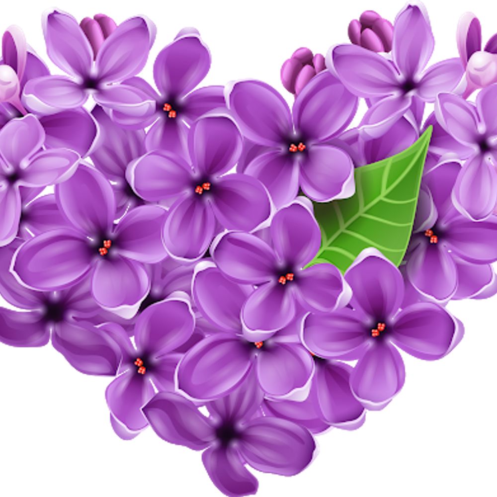 Lilac