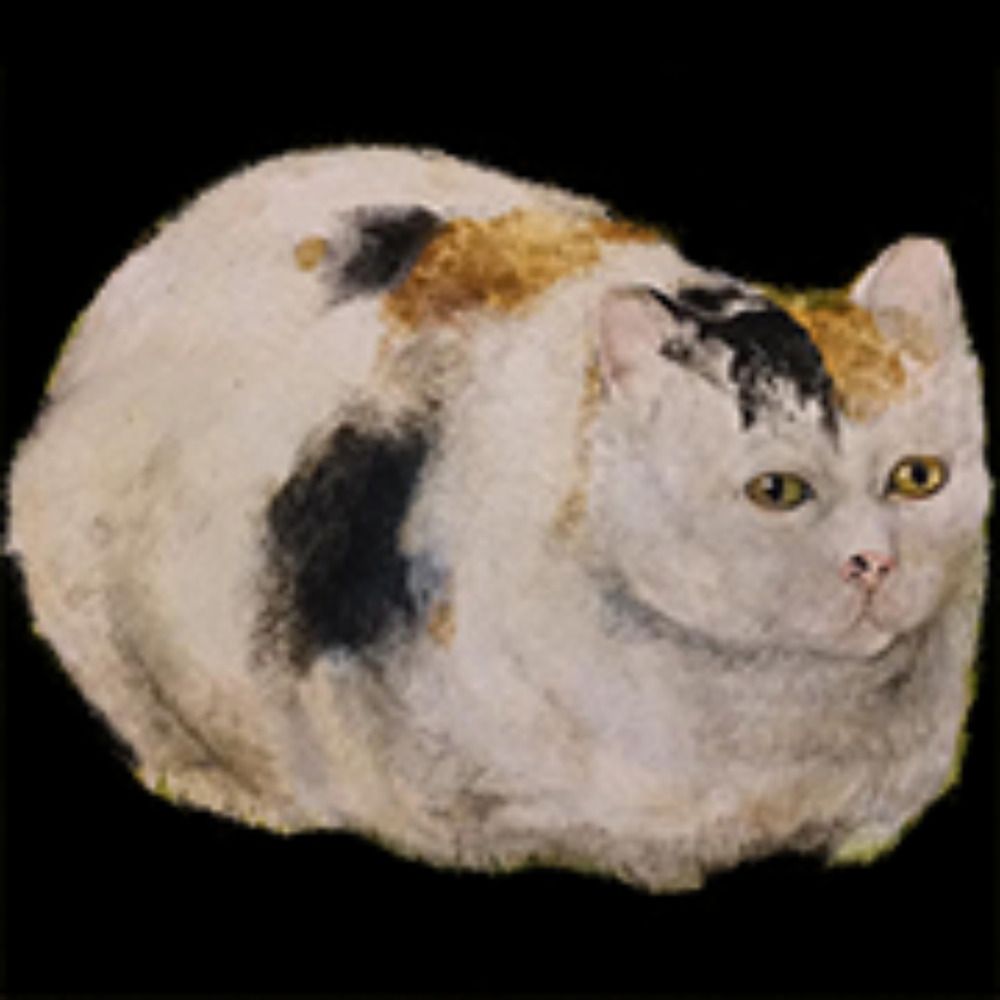 Popoto