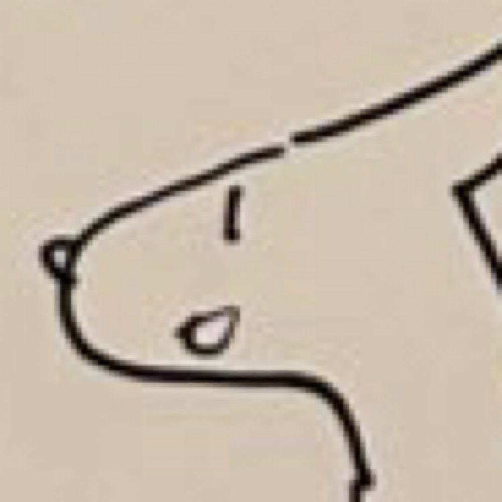 ulo