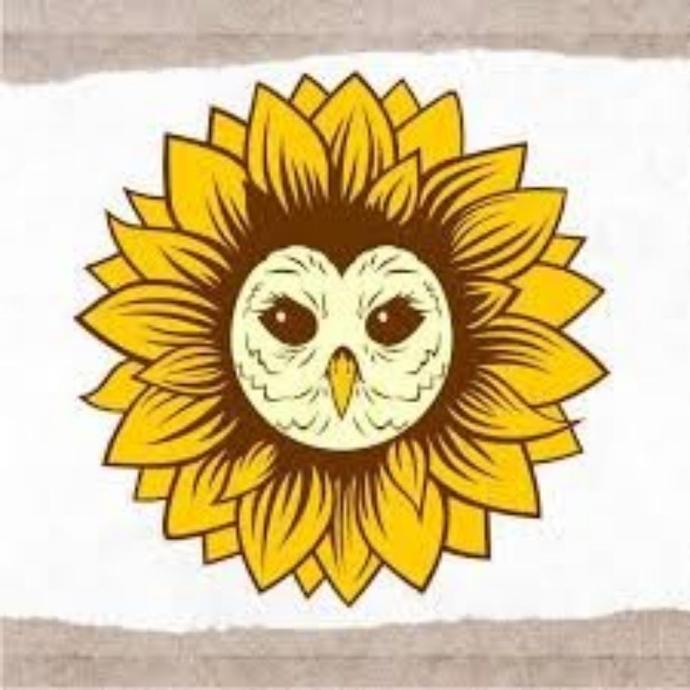owltype 🦉